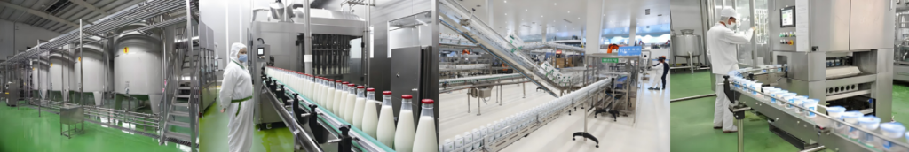 Dans le processus de production du lait pasteurisé