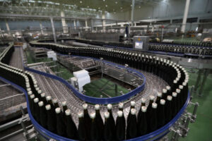 Fabricant d&rsquo;installations de production de vin à base de kiwis