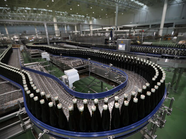 Usine de production de vin de kiwi