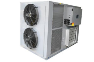 Fabricant de machine de séchage de poivrons à la fraise