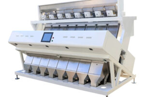 Fabricant de machine de tri des graines de pastèque par couleur