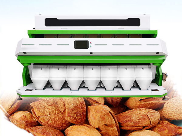 Fabricant de machine de tri des amandes par couleur