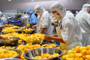 Fabricant de ligne de production de jus automatique d&rsquo;abricot, de prune et de pêche