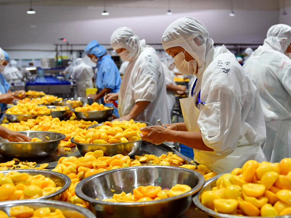 Fabricant d'usine de production de jus automatique d'abricot, de prune et de pêche
