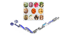 Fabricant de chaîne de nettoyage et de lavage automatique des légumes à tige