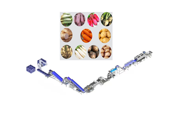 Fabricant de chaînes de nettoyage et de lavage automatiques en continu pour légumes-racines et légumes-tiges