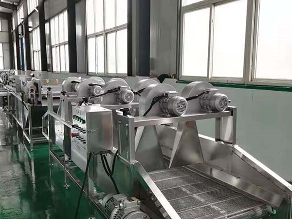 Fabricant de machines automatiques de séchage de fruits et légumes