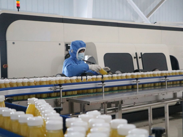 Fabricant de lignes de production automatiques de boissons à base de fruits