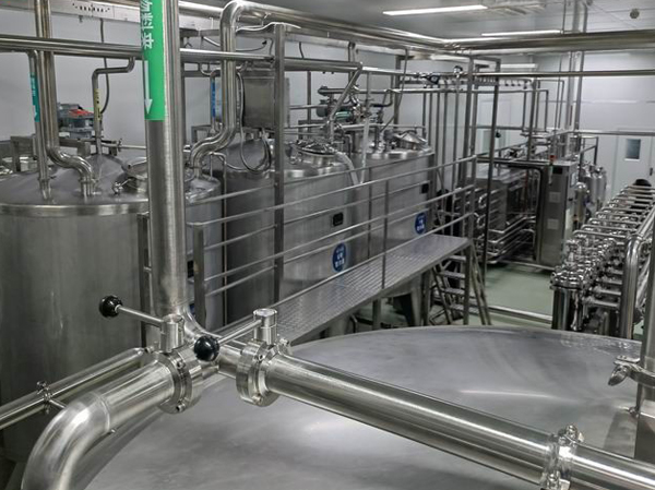 Fabricant de ligne de production de jus de longane litchi automatique