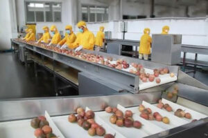 Fabricant de ligne de production automatique de jus de fruits tropicaux