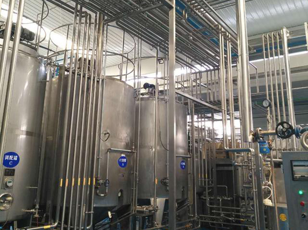 Fabricant de ligne de production automatique de boissons à base de protéines végétales