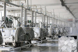 Fabricant de machines automatiques pour la fabrication de sucre en morceaux