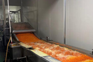 Fabricant de ligne de production automatique de jus d&rsquo;argousier