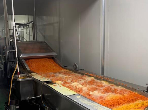 Fabricant de ligne de production automatique de jus d'argousier