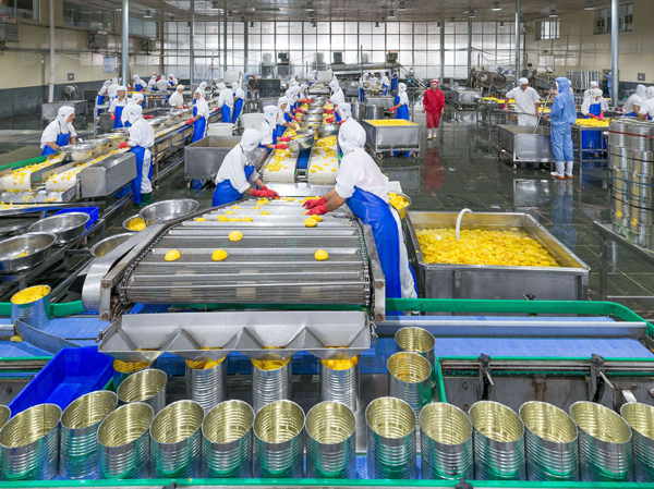 Fabricant d'installations automatiques de remplissage de boissons en canettes