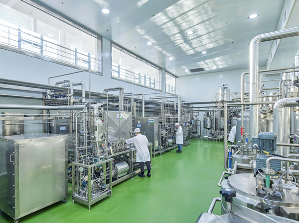 Fabricant de ligne de production de lait d'amande entièrement automatique