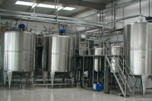 Fabricant de ligne de production entièrement automatique de pulpe de fruits rouges