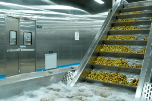 Fabricant de ligne de production de confiseries de fruits confits entièrement automatique