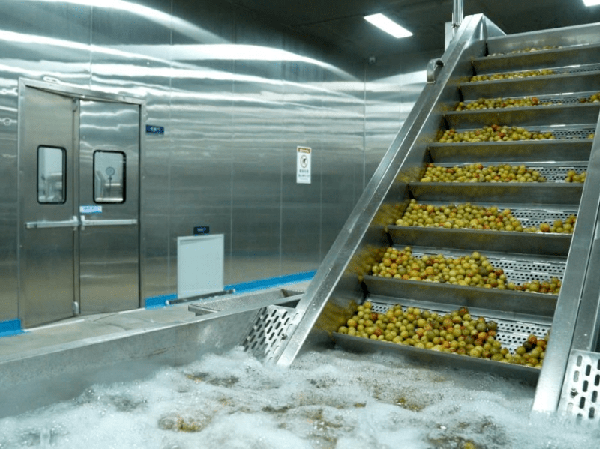 Fabricant d'usine de production de fruits confits entièrement automatique