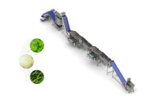 Fabricant de lignes automatiques à grande échelle pour le nettoyage en continu des légumes-feuilles