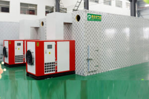 Fabricant de machine de séchage de noix de macadamia