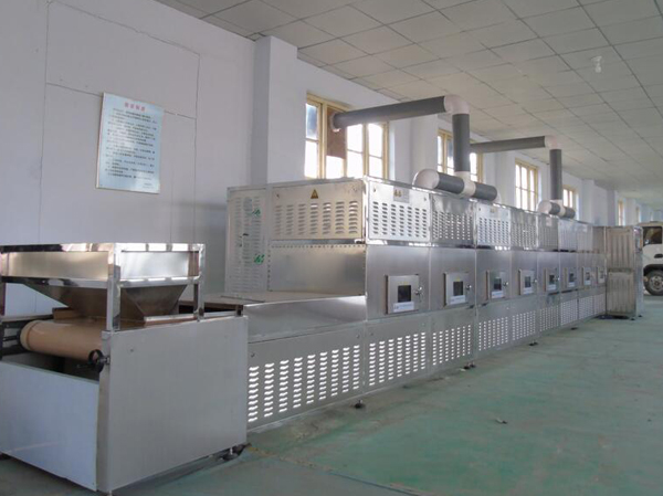 Fabricant d'équipements de séchage et de déshydratation des légumes