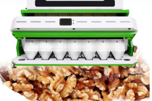 Fabricant de machine de tri des noyaux de noix par couleur