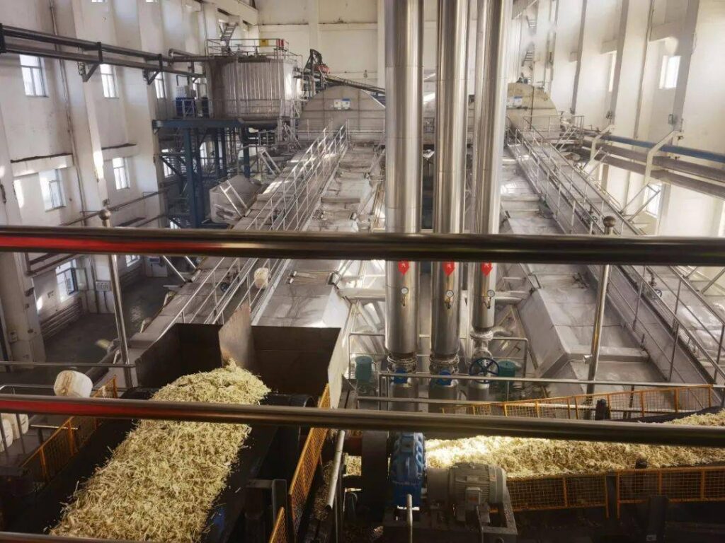 Usine de transformation de betteraves sucrières