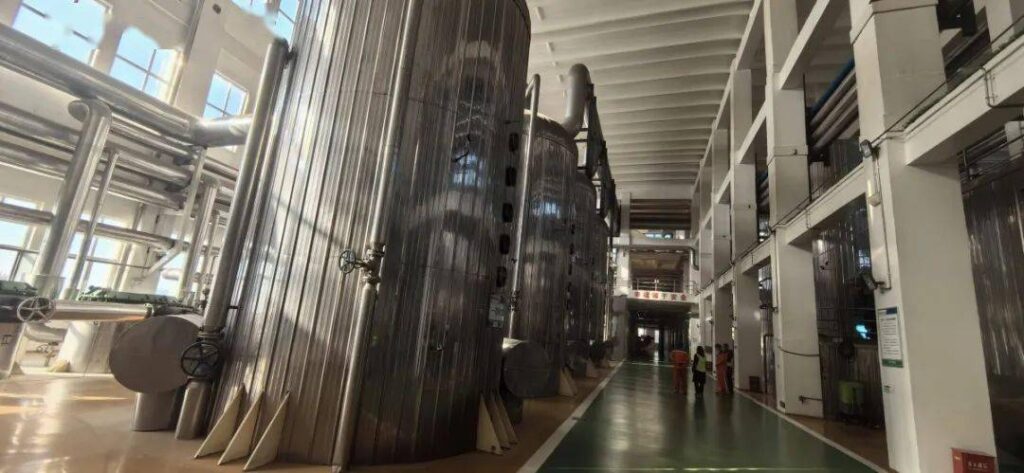 Ligne de cristallisation de betterave sucrière