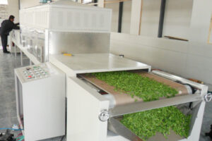 Fabricant de fours à tunnel pour la stérilisation au micro-ondes des feuilles de thé et de thé vert