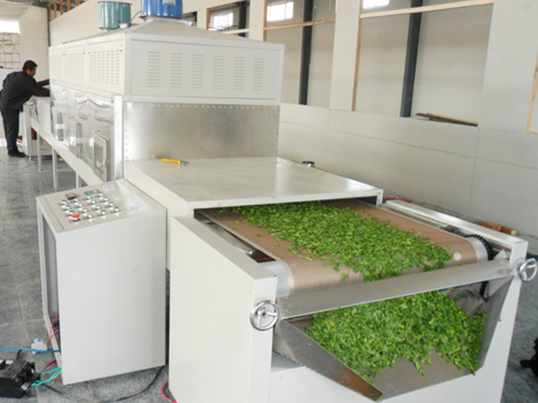 Fabricant de fours à tunnel pour la stérilisation au micro-ondes des feuilles de thé et de thé vert