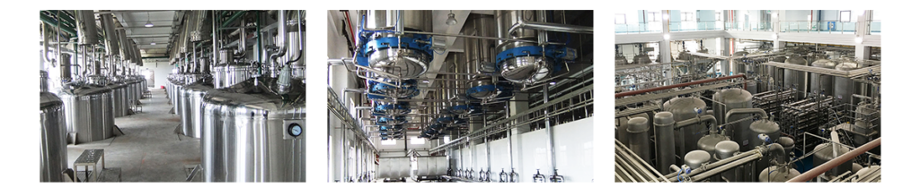 Les principaux composants de la ligne de production d'extrait d'os