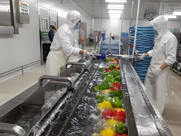 Machine de nettoyage et de transformation des légumes pour ligne de production automatique de plats préfabriqués