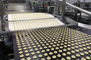 Fabricant de lignes de production de biscuits