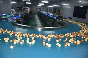 Fabricant d&rsquo;une ligne de production automatique de gâteaux